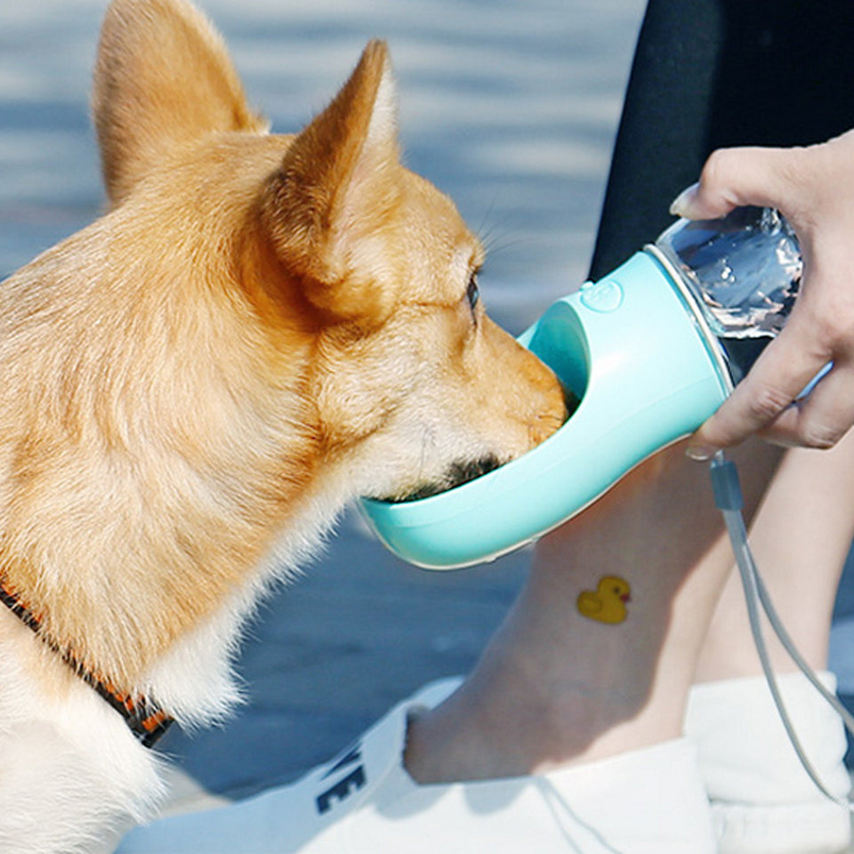 ✨Botella Portátil Multifuncional Para Mascotas😍😍😍✨🐕🐩🐶🐈‍⬛